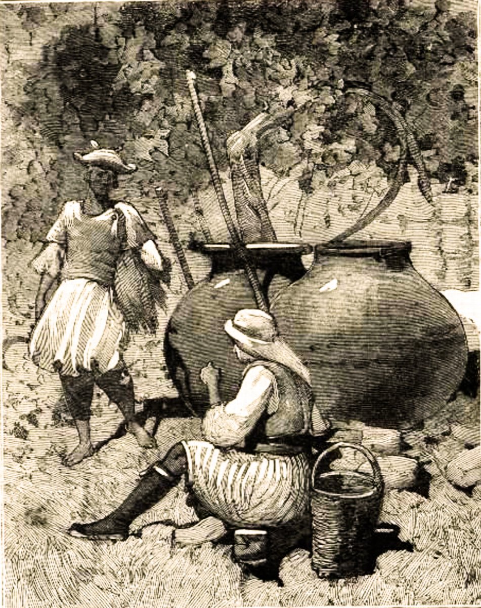 Wine landscape in Cyprus