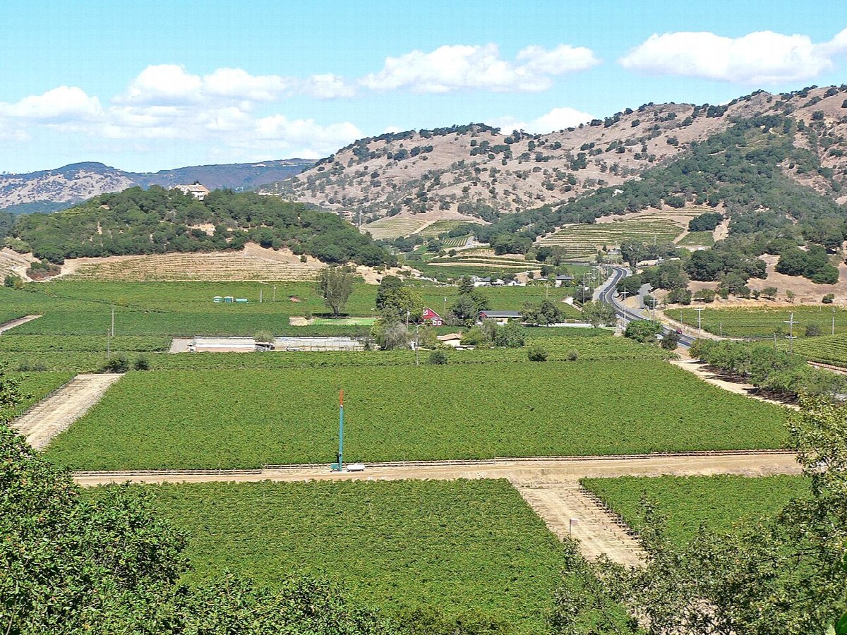 Wijngaarden in California