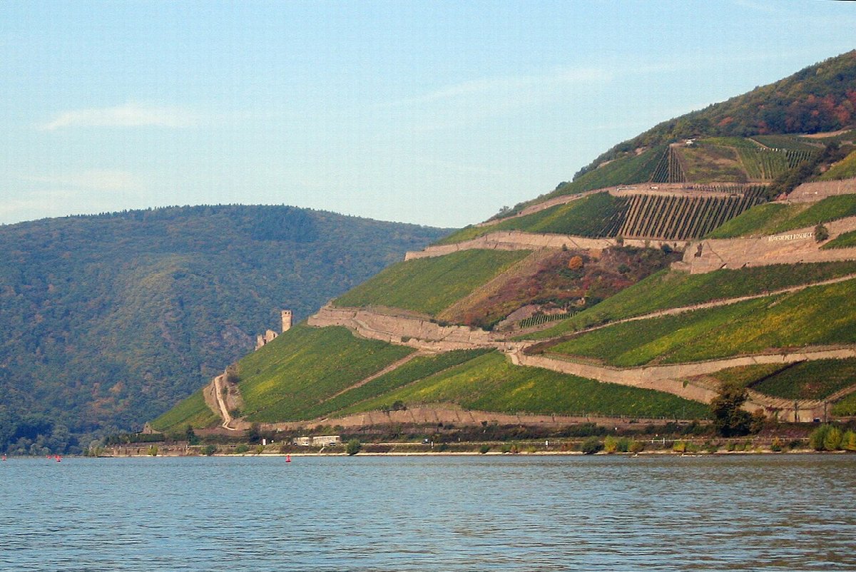 Wijnlandschap in Germany