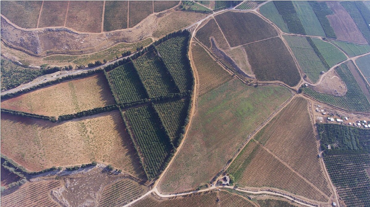 Wijnlandschap in Lebanon