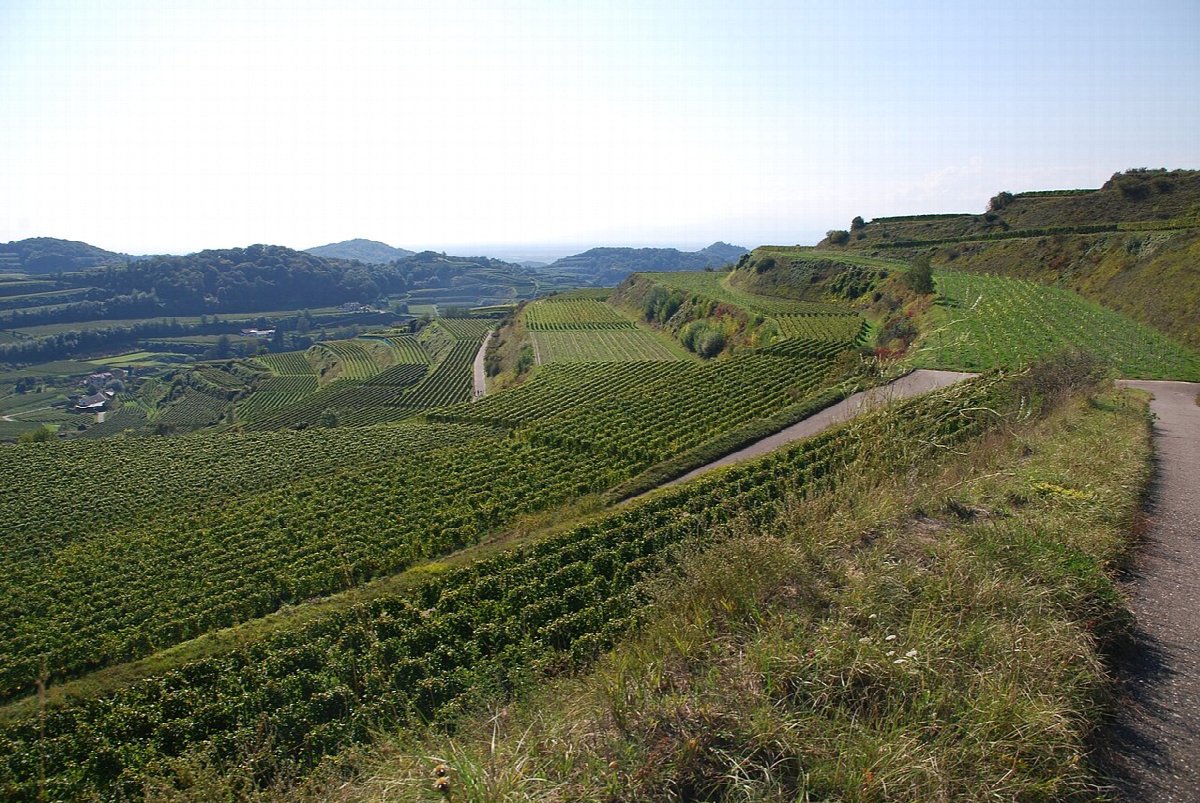 Vignobles en Baden