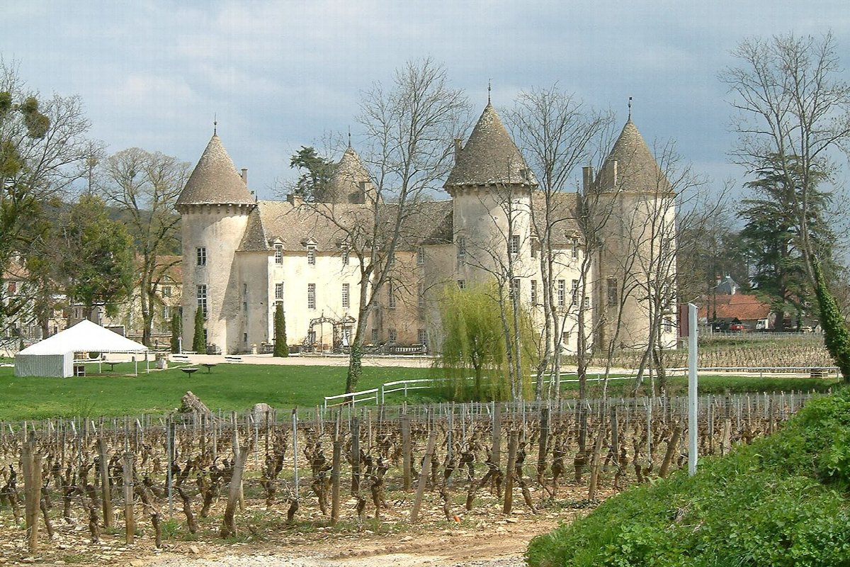 Vineyards in Côte de Beaune