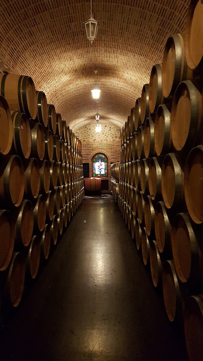 Weinberge in Ribera del Duero