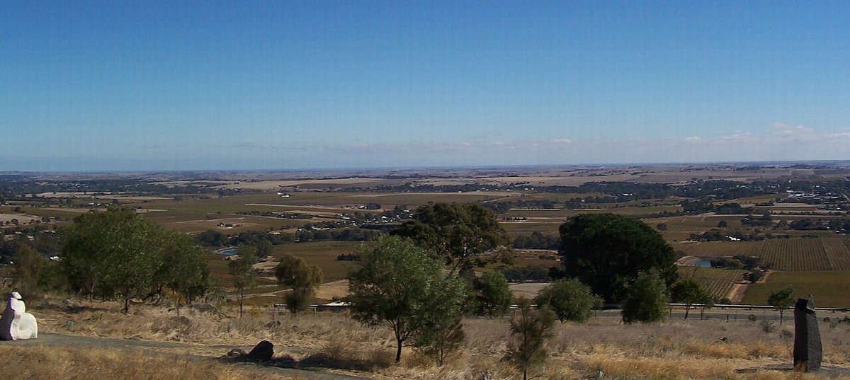 Vineyards in South Australia