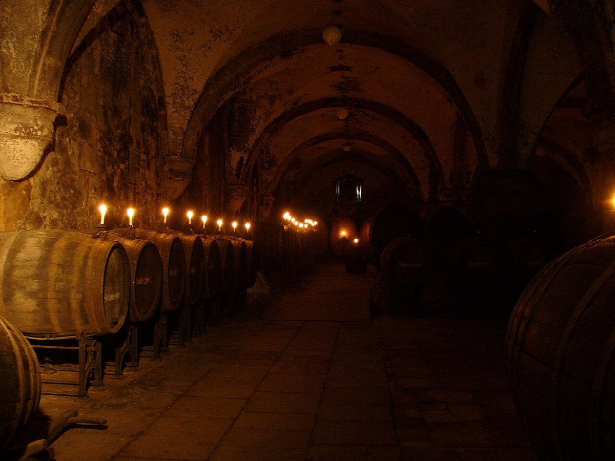 Wijngaarden in Rheingau