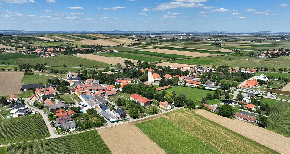 Wijngaarden in Niederösterreich
