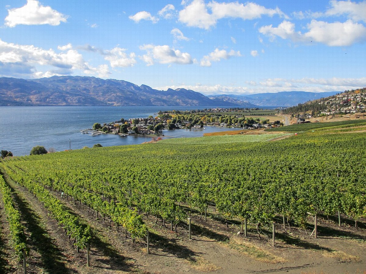 Viñedos de Okanagan Valley