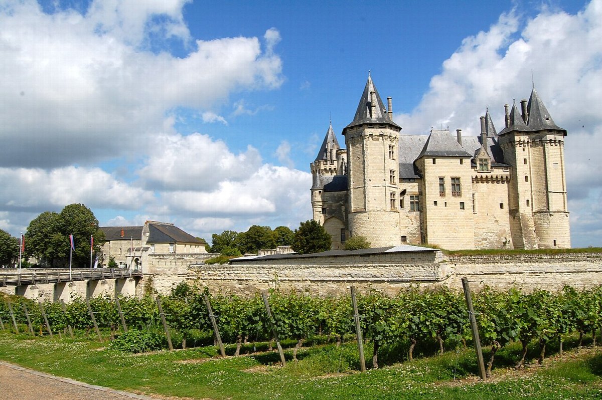 Vignobles en Loire Valley