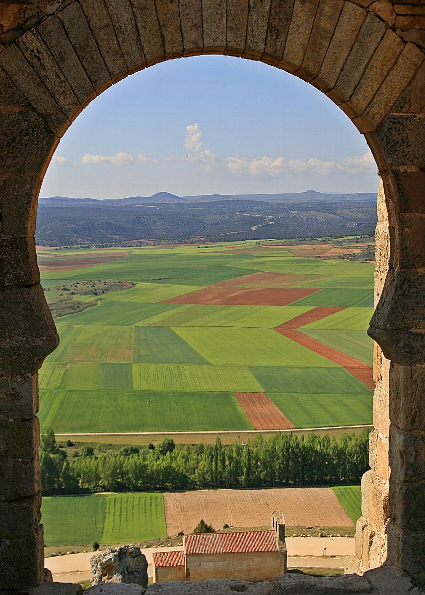 Viñedos de Castilla y León