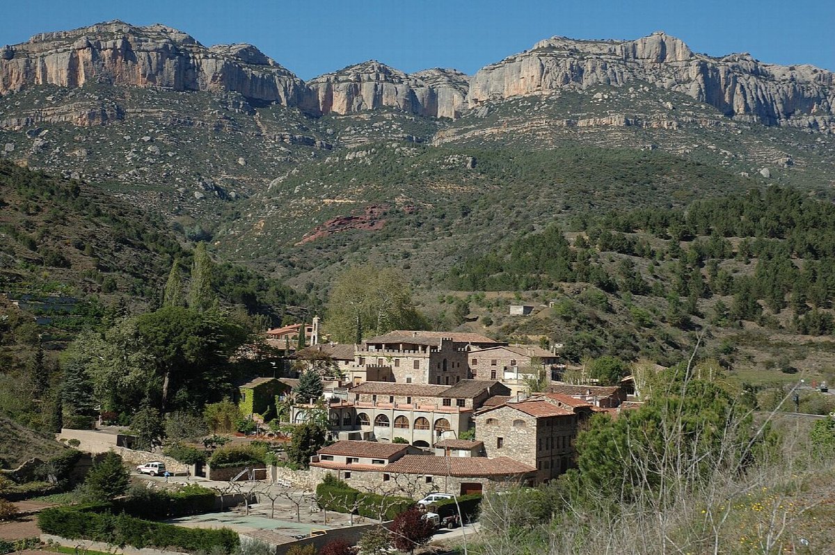 Vignobles en Priorat