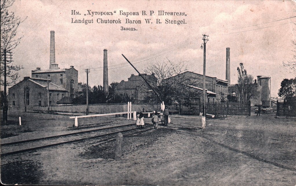 Wijnlandschap in Russia